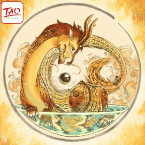 TAOtraining Jaarprogramma
